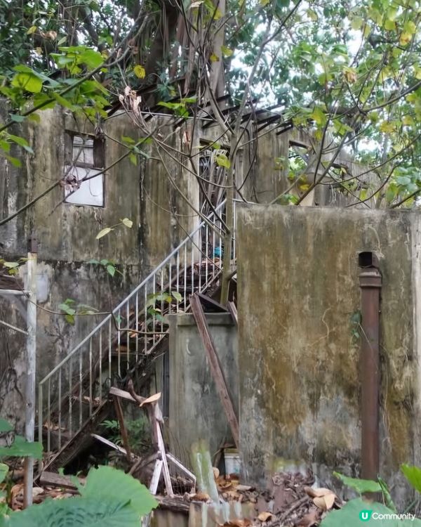 荒廢多年鄉村酒家已經被大自然隱蔽