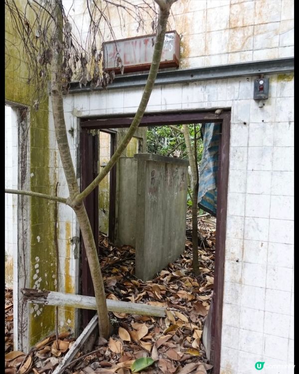 荒廢多年鄉村酒家已經被大自然隱蔽