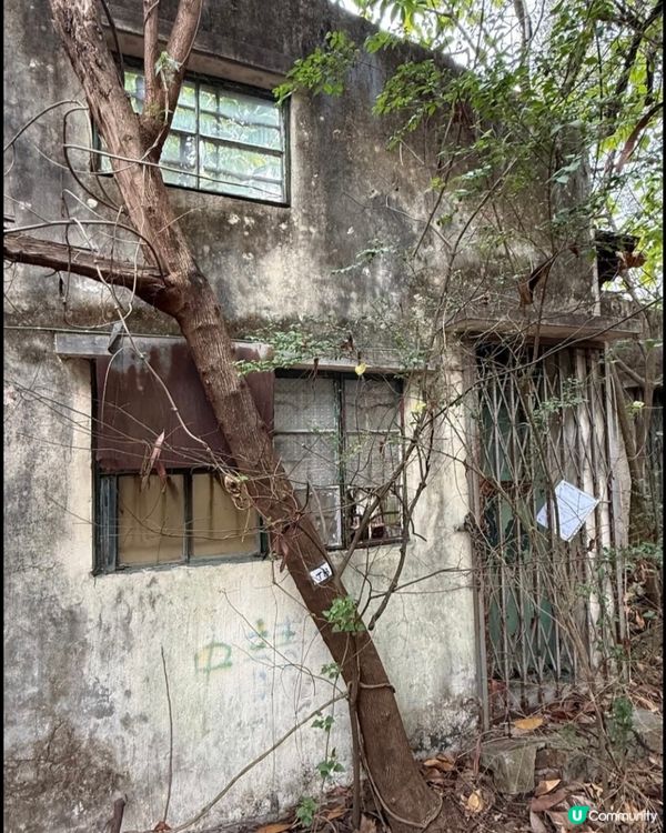 荒廢多年鄉村酒家已經被大自然隱蔽