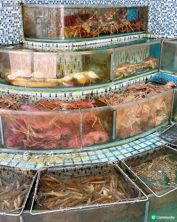 🎏西貢開餐💦勝記海鮮酒家‼️去西貢識食就會去依間食海鮮