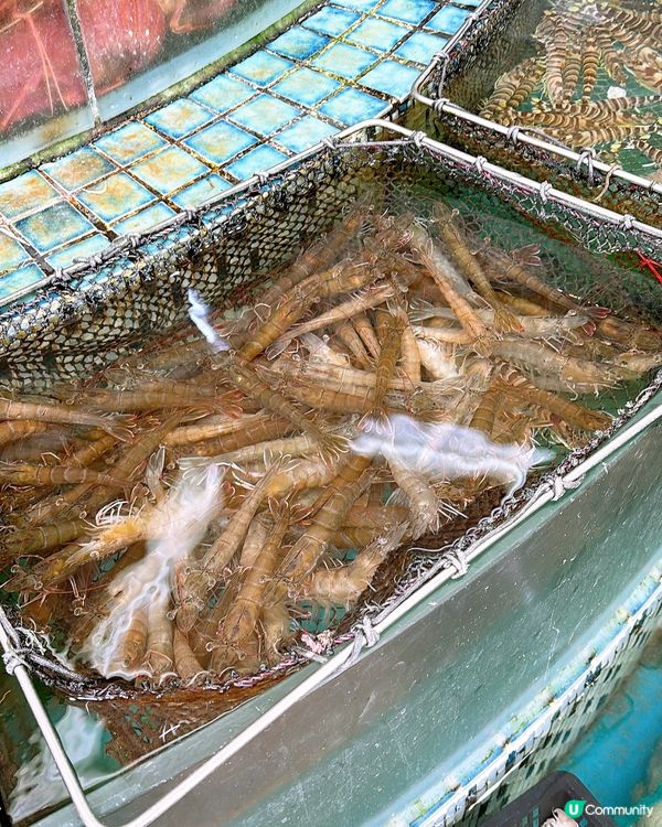 🎏西貢開餐💦勝記海鮮酒家‼️去西貢識食就會去依間食海鮮