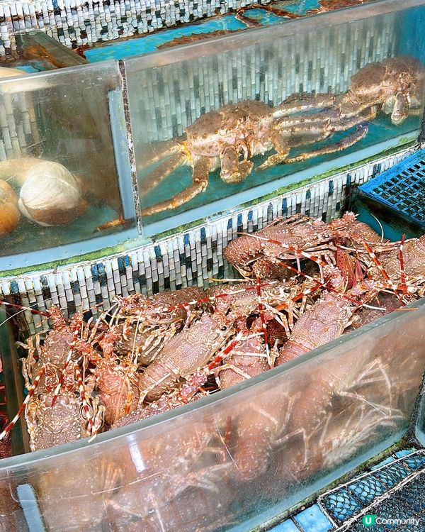 🎏西貢開餐💦勝記海鮮酒家‼️去西貢識食就會去依間食海鮮