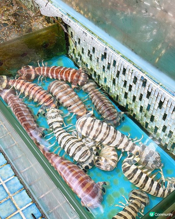 🎏西貢開餐💦勝記海鮮酒家‼️去西貢識食就會去依間食海鮮