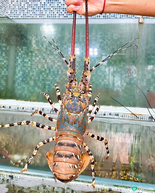 🎏西貢開餐💦勝記海鮮酒家‼️去西貢識食就會去依間食海鮮