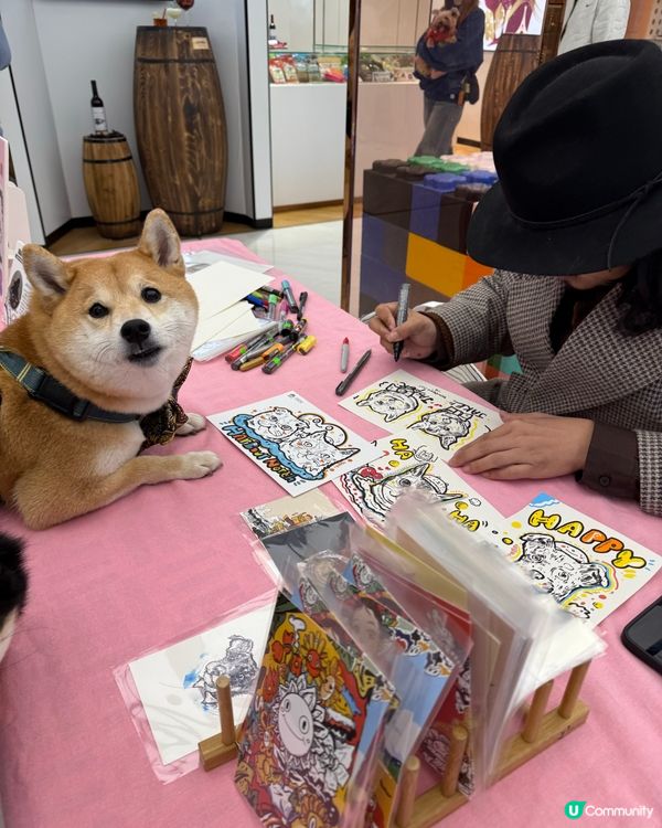 🐶❤️海濱浪漫遊！北角匯人寵甜蜜蜜