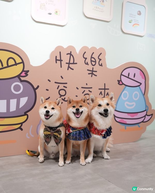 🐶❤️海濱浪漫遊！北角匯人寵甜蜜蜜