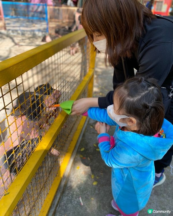 深圳必去 野生動物園🤗