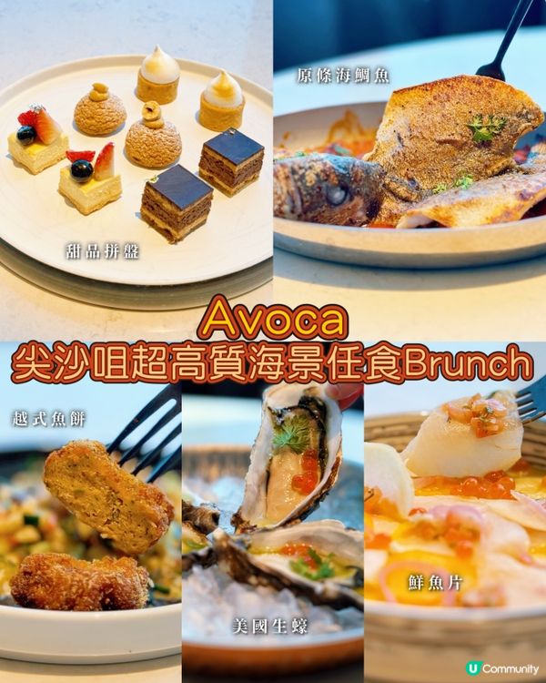 尖沙咀高層海景嘆任食海鮮早午餐 🦪🍷