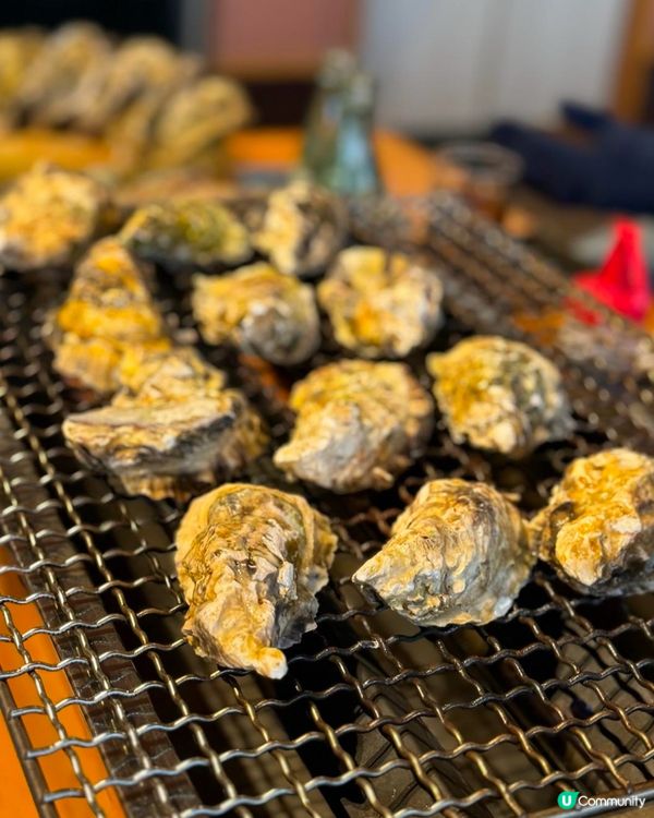 ［福岡］近市區沿海系島打卡美食攻略🔥不要錯過🌟