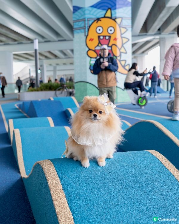 ✨📍 北角最新打卡點!東岸板道 + 甜蜜蜜市集 🌸🐾
