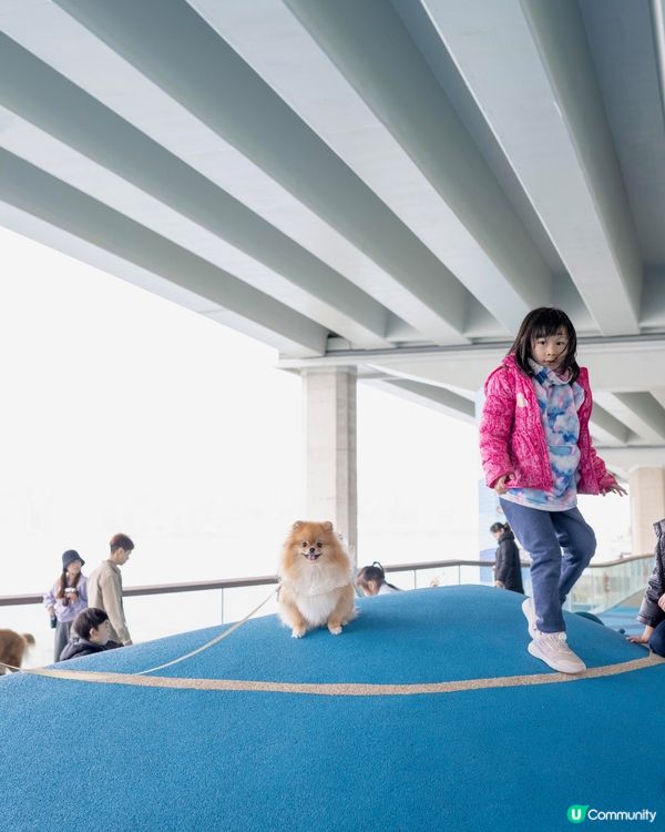 ✨📍 北角最新打卡點!東岸板道 + 甜蜜蜜市集 🌸🐾