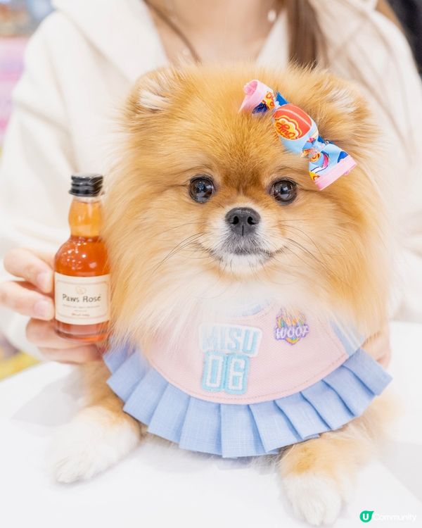 ✨📍 北角最新打卡點!東岸板道 + 甜蜜蜜市集 🌸🐾