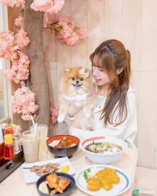 ✨📍 北角最新打卡點!東岸板道 + 甜蜜蜜市集 🌸🐾