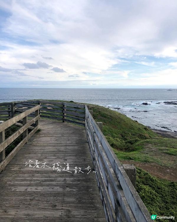 澳洲墨爾本自由行——菲利普島看海！