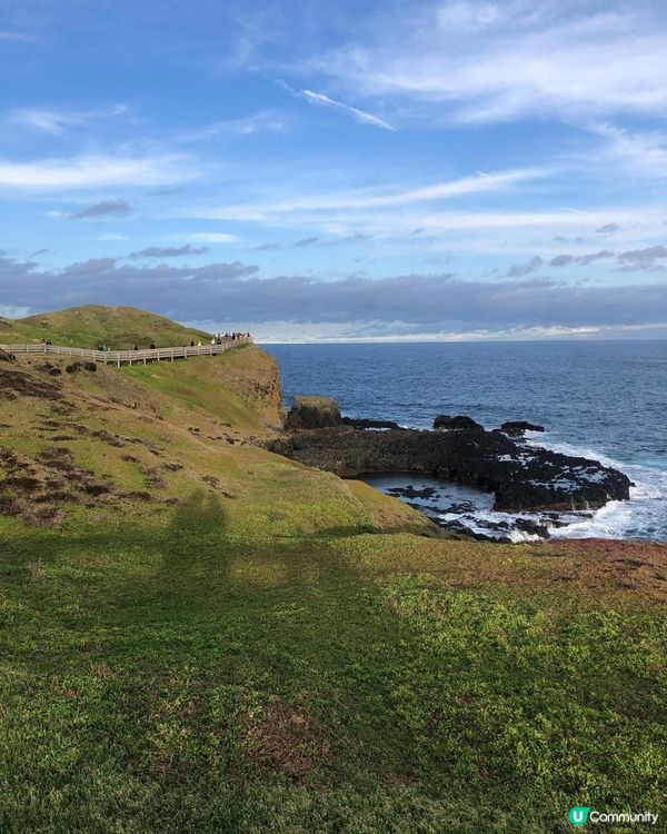 澳洲墨爾本自由行——菲利普島看海！