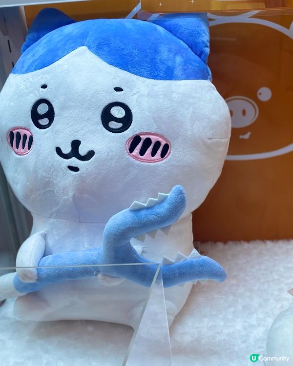 有chikawa🤩夾公仔🧸