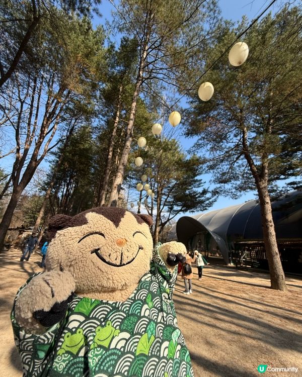 韓國🇰🇷南怡島名物