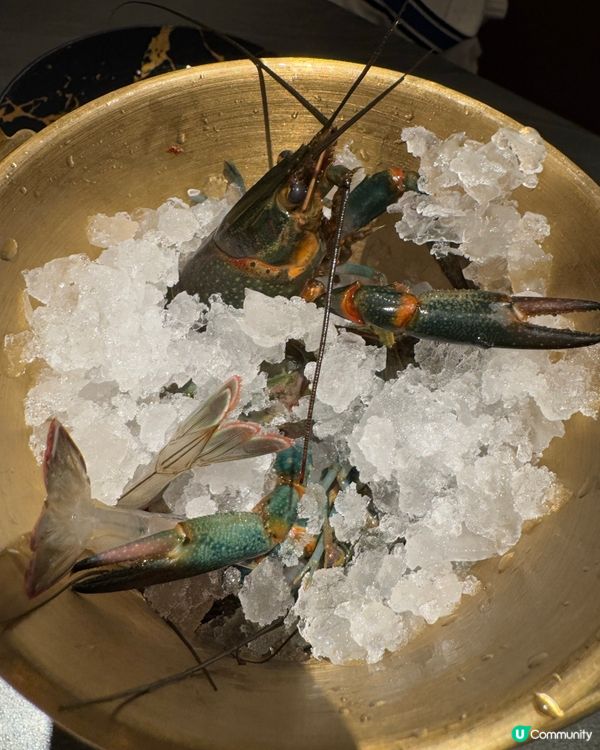 深圳奧吉鮮海鮮自助放題食評