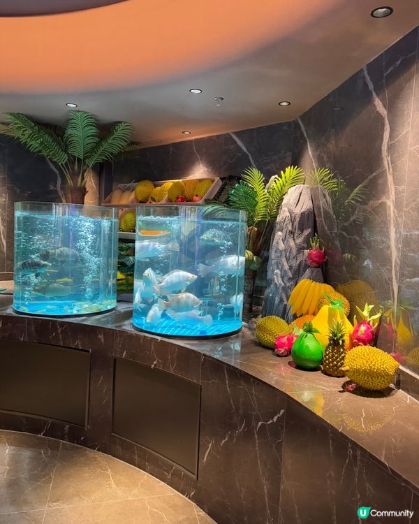 深圳奧吉鮮海鮮自助放題食評