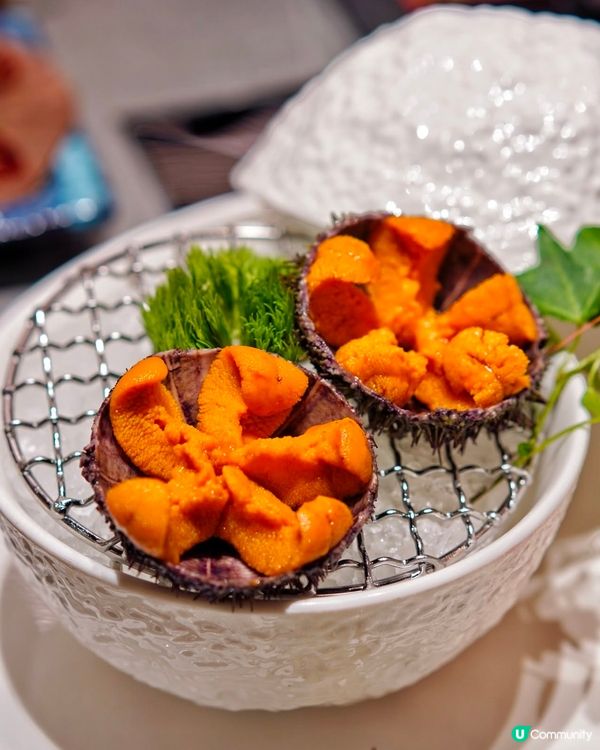 深圳膽道海膽九吃！🤤 海膽控必試！