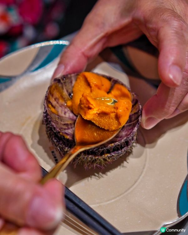 深圳膽道海膽九吃！🤤 海膽控必試！
