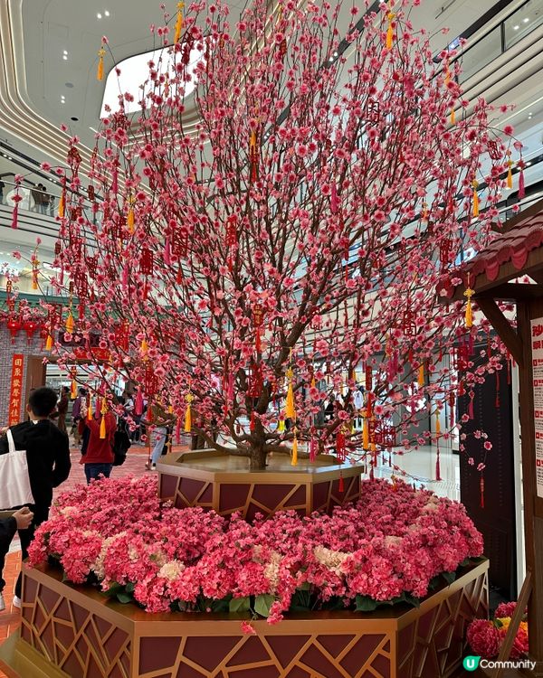 圍方風車牆 好運連綿不絕❤️