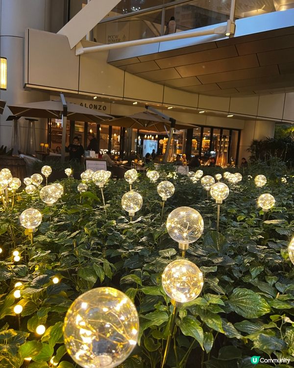 浪漫情人節慶祝餐廳