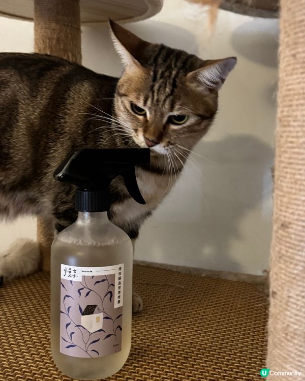 優雅地清潔家居吧