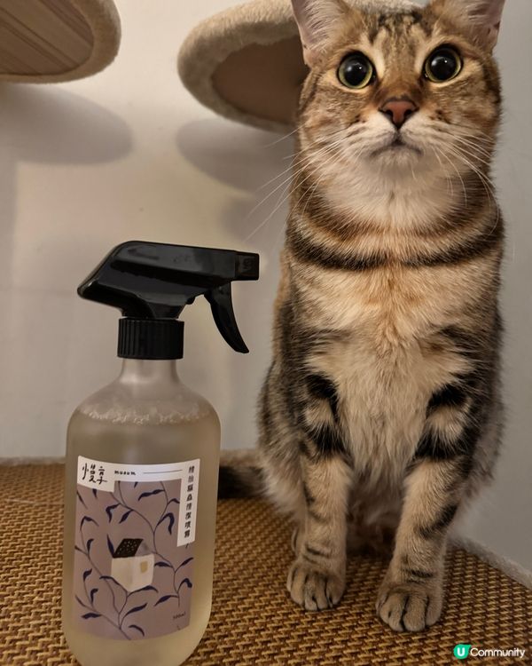 優雅地清潔家居吧