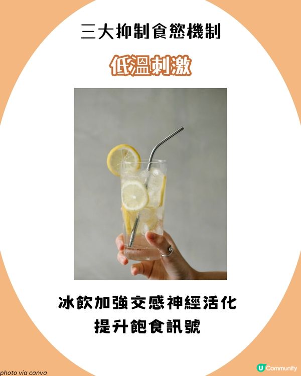 日本大熱！檸檬生薑水減肥法🫚 注意事項+詳細食譜！