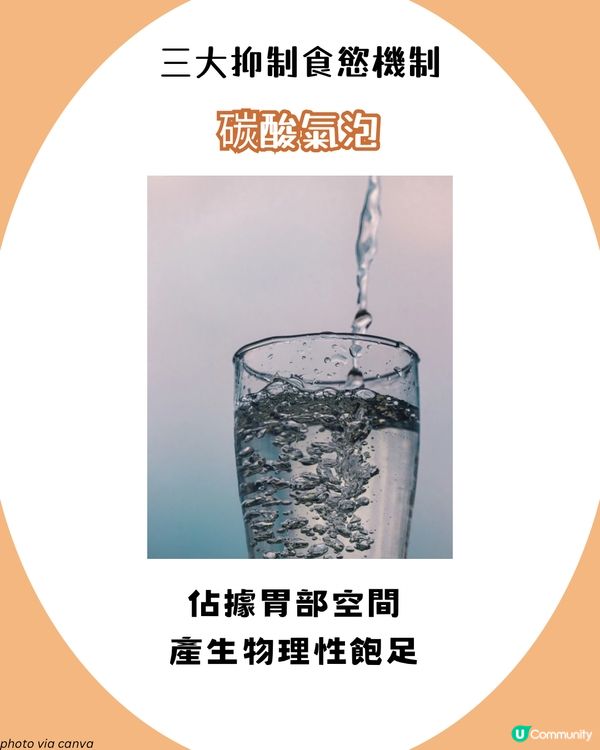 日本大熱！檸檬生薑水減肥法🫚 注意事項+詳細食譜！