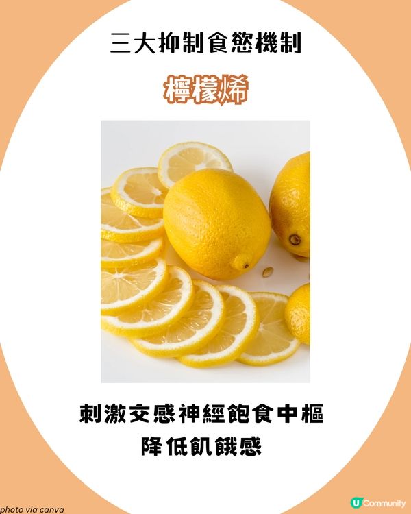 日本大熱！檸檬生薑水減肥法🫚 注意事項+詳細食譜！