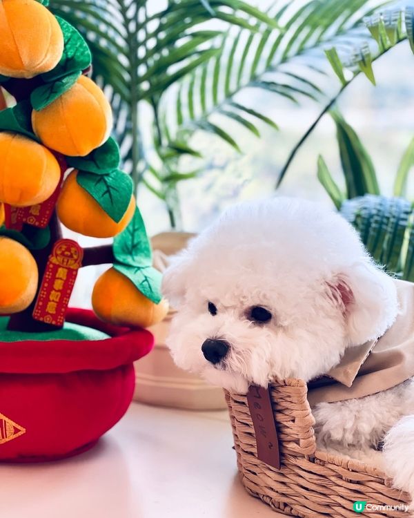 小妹免費請你做facial‼️💕快啲同我一齊扮靚靚💕