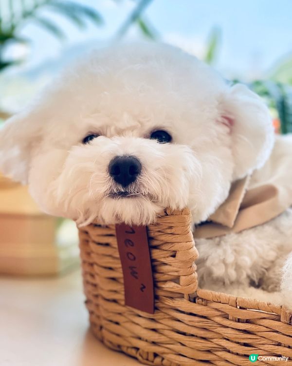 小妹免費請你做facial‼️💕快啲同我一齊扮靚靚💕