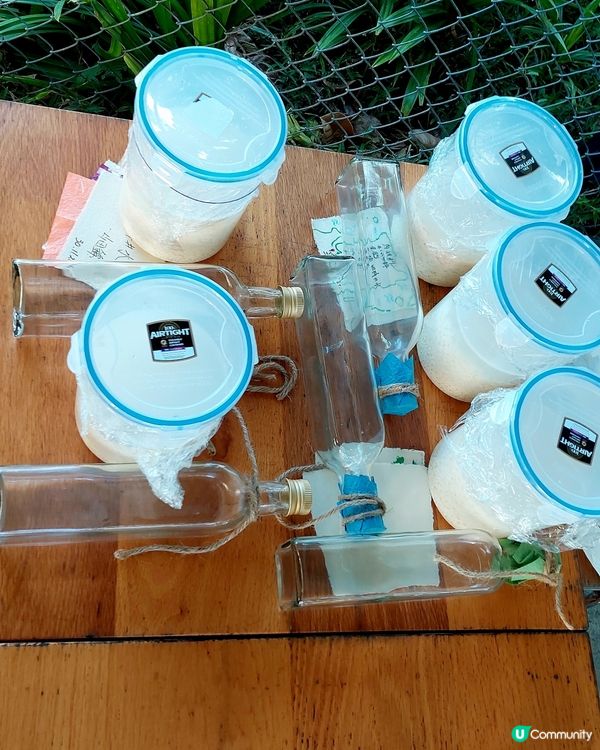 西貢一日遊，情侶必去！❤️ 情人節推薦