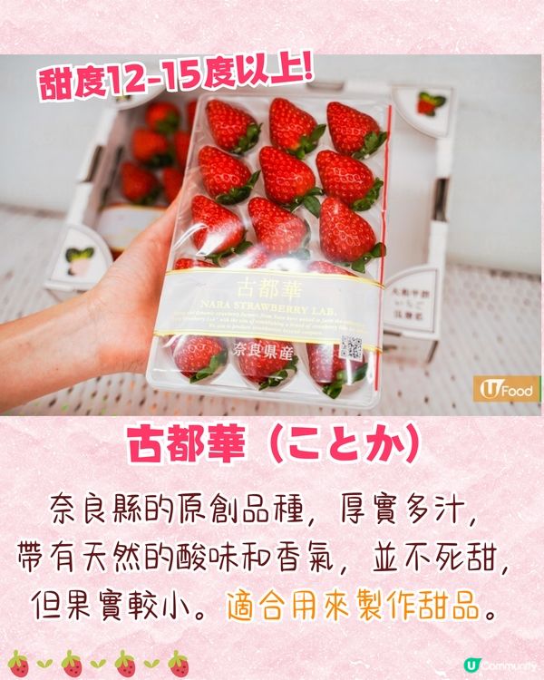 日本士多啤梨爆紅食法🔥逾5萬人推薦❗附日本熱門品種+等級攻略🍓