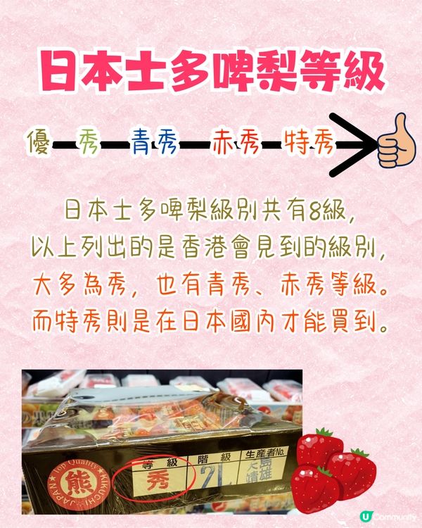 日本士多啤梨爆紅食法🔥逾5萬人推薦❗附日本熱門品種+等級攻略🍓