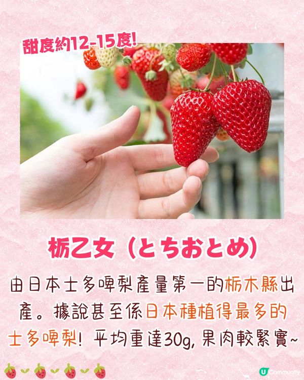 日本士多啤梨爆紅食法🔥逾5萬人推薦❗附日本熱門品種+等級攻略🍓