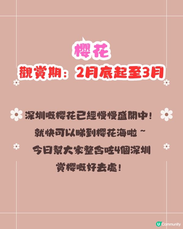 深圳賞櫻4選🌸日系櫻花列車/大片花海‼️附地址+交通教學🚗