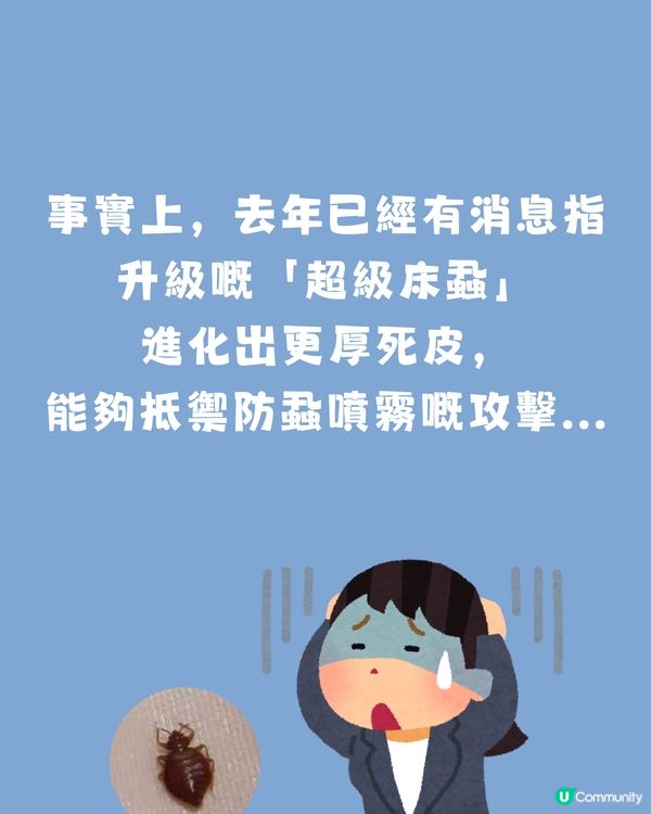 日本再爆床蝨‼️😱即睇網民自製避坑地圖🥶附4大對付床蝨小貼士
