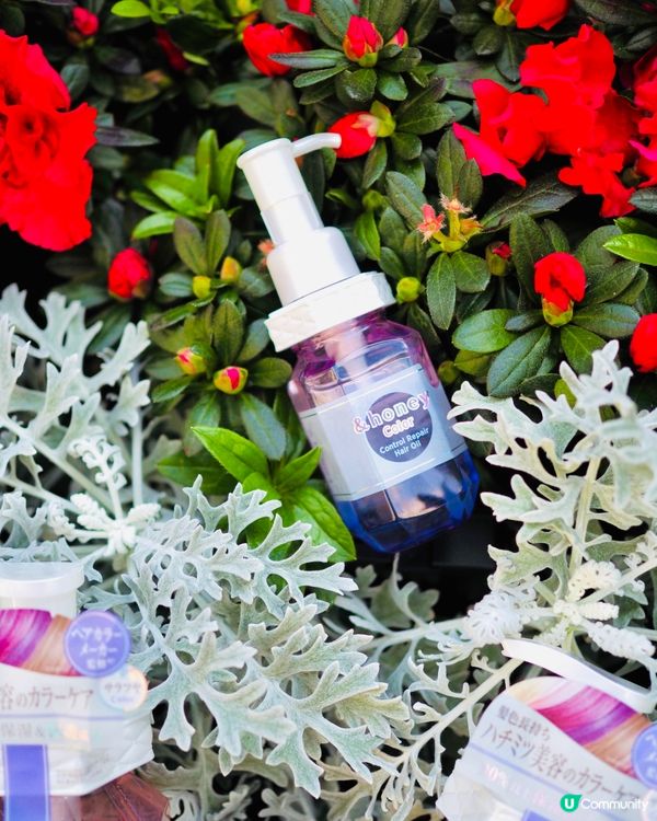 日本@cosme &honey 色彩護理系列