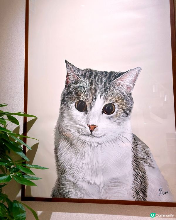 新式素食首次進駐港島❤️‍🔥多款創意菜式登場‼️