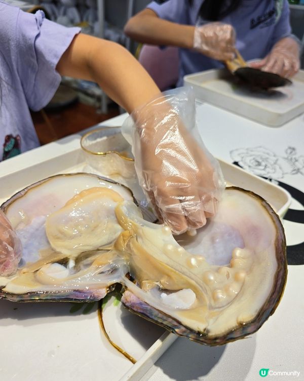 珍珠開蚌初體驗