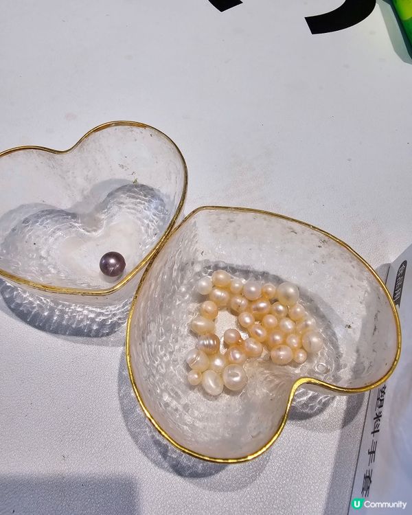 珍珠開蚌初體驗