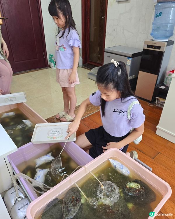 珍珠開蚌初體驗