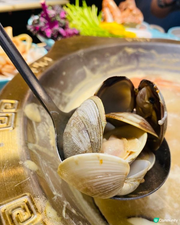 九龍灣➡️➡️➡️千海水產海鮮火鍋放題