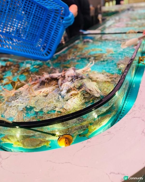 九龍灣➡️➡️➡️千海水產海鮮火鍋放題