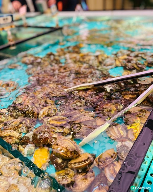 九龍灣➡️➡️➡️千海水產海鮮火鍋放題