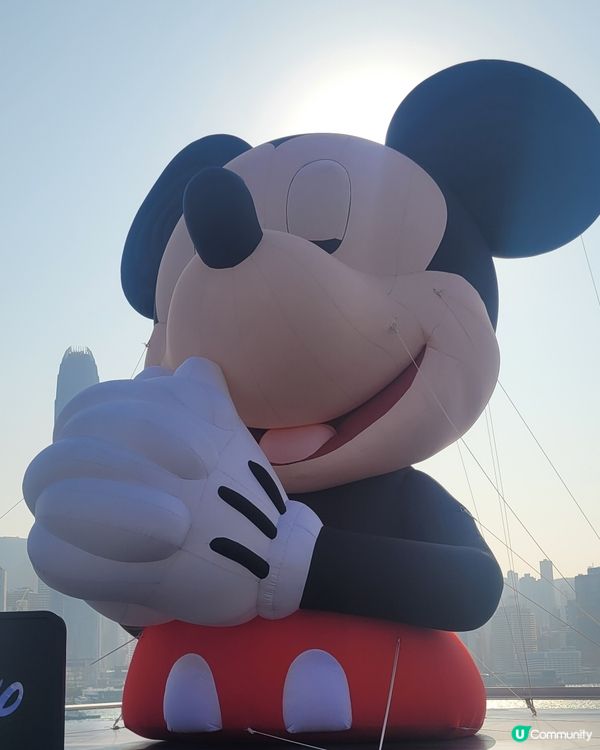 海港城7M祈禱手米奇