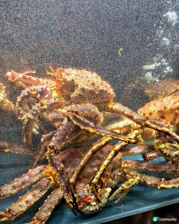 深圳食蟹🦀️ 蟹仙畫宴必試！